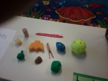 BusyBees.Science.3
